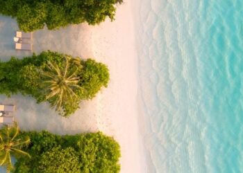 De la pista al resort: marcas de lujo como experiencias impulsadas por la propiedad intelectual