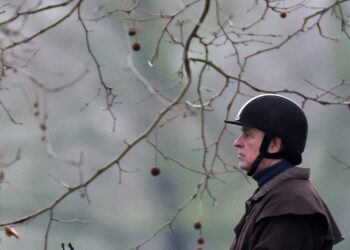 Andrew Mountbatten-Windsor rides a horse in Windsor Great Park