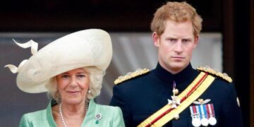 El regreso del príncipe Harry puede no incluir una llave real: experto