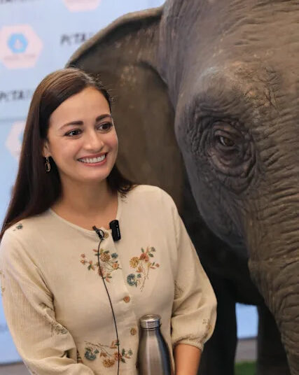 Los actores Dia Mirza se encuentran entre las estrellas de Bollywood que apoyan una campaña de Peta India que insta a los cineastas y productoras a dejar de utilizar elefantes vivos en películas, proyectos de televisión y anuncios (Peta India).