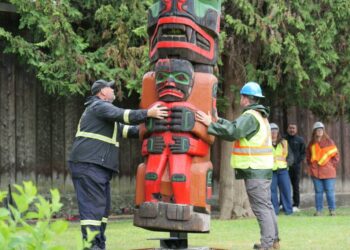 A totem pole was raised in Victoria&rsquo;s Thunderbird Park June 8 one week after it was lowered for restoration. (Liam Razzell/Victoria News)