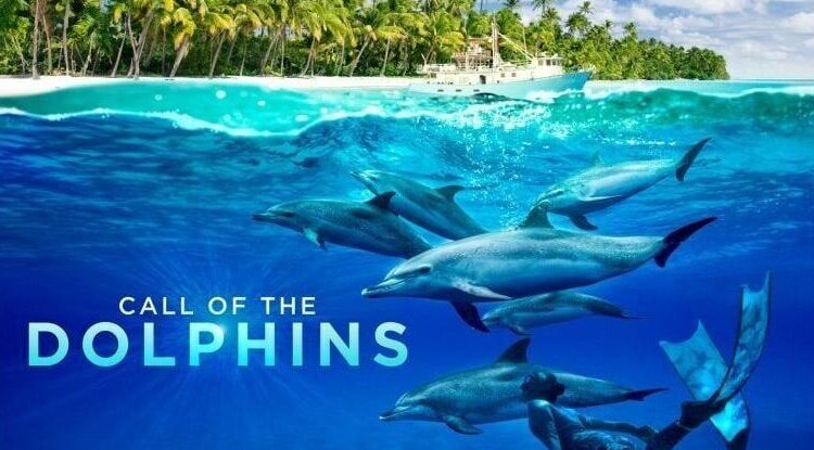 Galardonado documental sobre delfines llega al Teatro de Pantalla Gigante de Fernbank | Noticias de entretenimiento