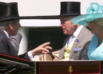 La reina Camilla elige un color muy majestuoso en el cuarto día de Royal Ascot