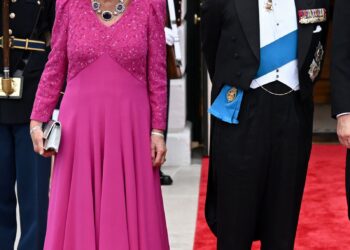 La imagen puede contener Carlos Príncipe de Gales Persona Ropa de adulto Guante Accesorios de boda Ropa formal Corbata y abrigo