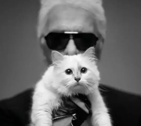 karl-lagerfeld-choupette-herencia.jpg