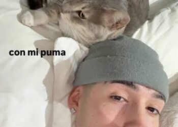 Pailita cuenta la historia del felino que adoptó hace un año y alegra su hogar: "Para mí fue una bendición"