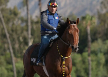 Vitruvian Man, copropiedad de Glenn Sorgenstein y Run Fast Racing, está inscrito en el Belmont Stakes 2026 en el hipódromo de Saratoga. (Proporcionado por Run Fast Racing)
