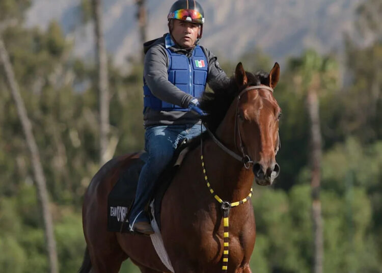 Vitruvian Man, copropiedad de Glenn Sorgenstein y Run Fast Racing, está inscrito en el Belmont Stakes 2026 en el hipódromo de Saratoga. (Proporcionado por Run Fast Racing)