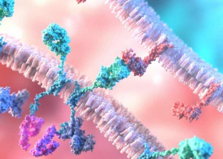 Thalia shares jump 20% on AML drug acquisition and £2.75m raise