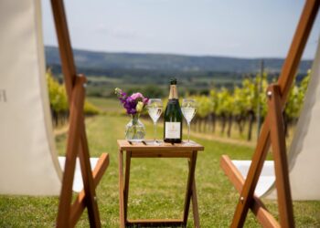 Vineyard presenta programa de verano de eventos de vino, comida y música en vivo