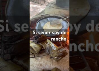 Tortillas de harina y maneas #musica #comida #canaldecocina #shorts