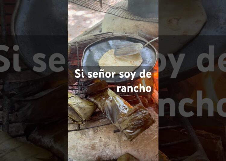 Tortillas de harina y maneas #musica #comida #canaldecocina #shorts