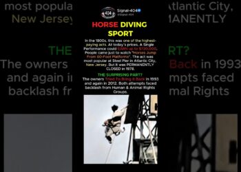 The $720,000 Horse Show #shorts