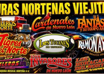 💥PURAS NORTEÑAS VIEJITAS MIX 🔥Puros Clásicos | Tigres, Tucanes, Ramón Ayala ,Invasores, Cardenales