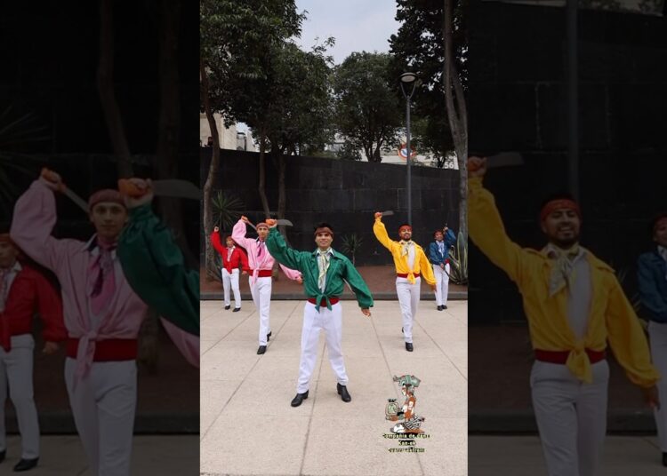 No se imaginan lo que pasó 😱 #showtime #espectaculo #cultura #danza #folklore #tradición #nayarit