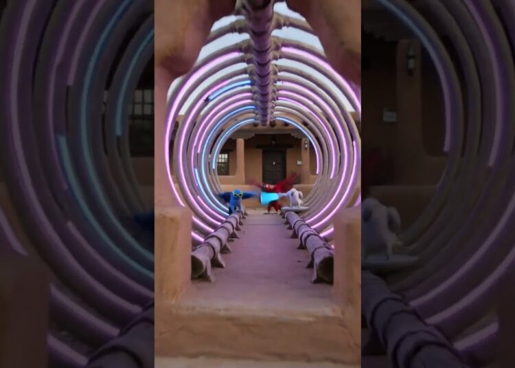Espectáculo de Loros en Taos Pueblo #AvesInteligentes #TaosPueblo