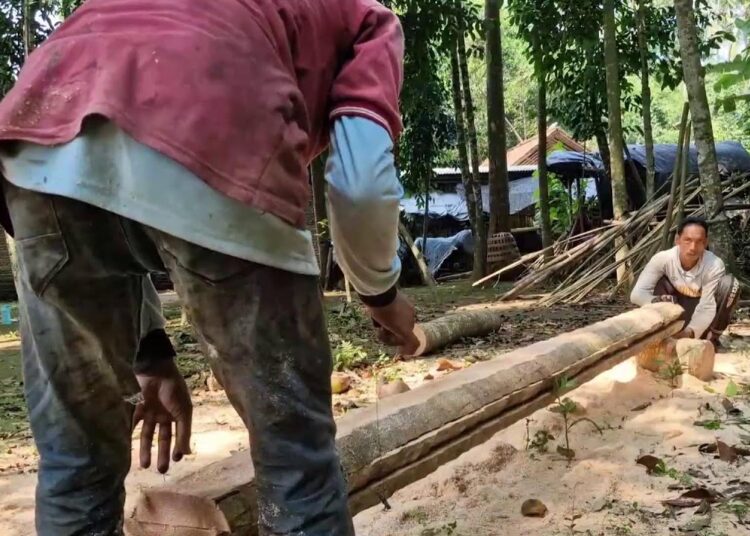 Chainsaw Operator Performs Amazing Feat: Splitting a Coconut Tree in a Straight Line