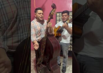 Hay una senda #coritoscristianos #musica #violin #parati