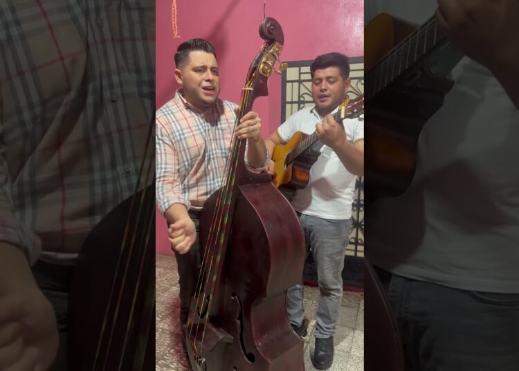 Hay una senda #coritoscristianos #musica #violin #parati