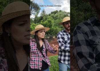 Filhos folgados querem que os pais voltem a trabalhar 😤 #novelinhas #drama #novelas #humor