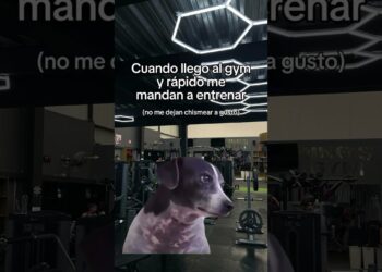 Dejen ser feliz a gustooo #parati #mindset #fitness #gym #chismes chismes 🤣🤣🏃🏃🏃