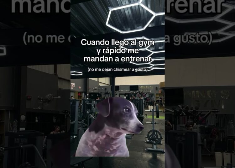 Dejen ser feliz a gustooo #parati #mindset #fitness #gym #chismes chismes 🤣🤣🏃🏃🏃