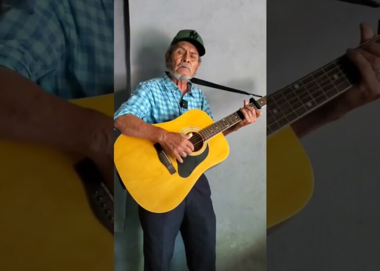 Pajarillo barranqueño 🎼 #cover #musica #regionalmexicano