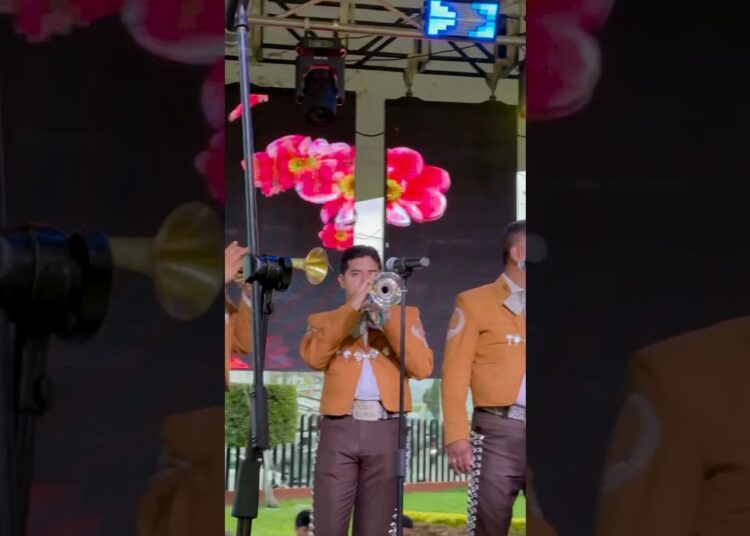 Una Vez Más Mariachi Mexicanísimo #regionalmexicano #juangabriel #musica #mariachi