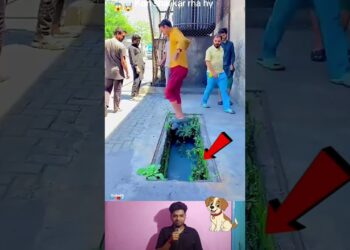 Aab Tera Beta Darling Bole || Girl’s Dance || WhatsApp (Lyrics) Dance Status
