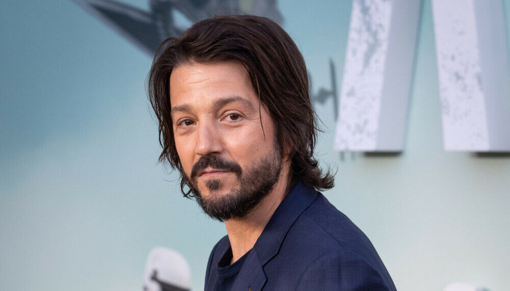 Diego Luna will appear in Tangled