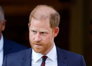 El nuevo sueño real del Príncipe Harry tiene un problema: Fuente