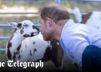 El príncipe Harry se relaja con los niños en el yoga con cabras