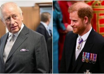 El rey Carlos toma una decisión catastrófica con Harry: '¡Tu hijo arrojó caca de perrito y se quema!'