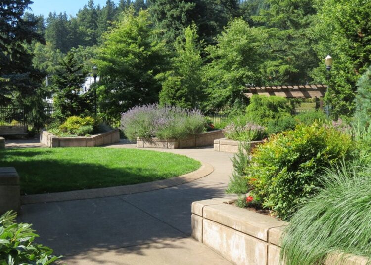 Guitarra - Música en el jardín con amigos de Portland Memory Garden