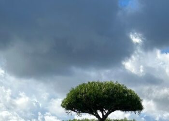Cielo con nubes oscuras