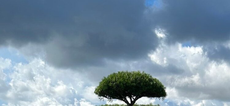 Cielo con nubes oscuras