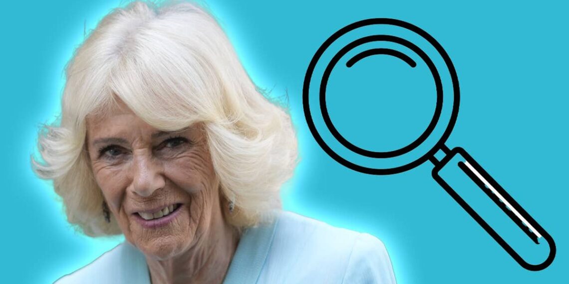 Juega al juego real de encontrar las diferencias de HELLO!: La reina Camilla en el palco real