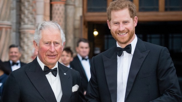 Las esperanzas del regreso real del príncipe Harry frustradas por el rey Carlos – Insider