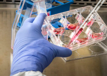 Thalia Therapeutics advances clinical-stage RNA strategy with Sanmirna acquisition and £2.75 million fundraising (THAT)