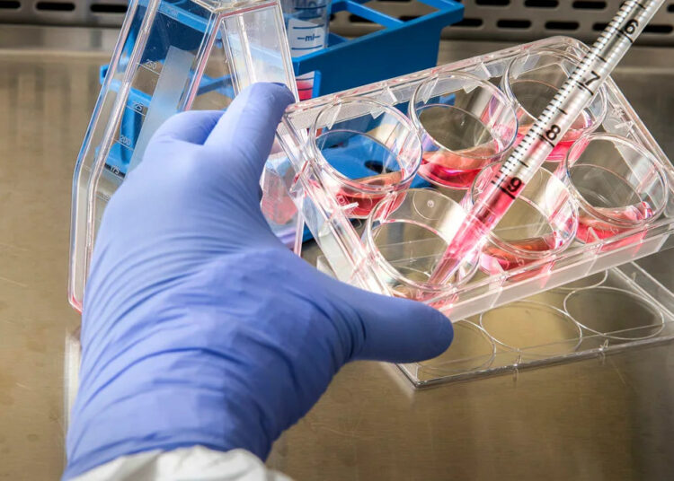 Thalia Therapeutics advances clinical-stage RNA strategy with Sanmirna acquisition and £2.75 million fundraising (THAT)