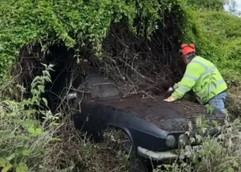 Una pareja recortó un seto cubierto de maleza y descubrió un raro auto deportivo, el primero en el mundo, que fue increíblemente popular entre la Familia Real del Reino Unido.