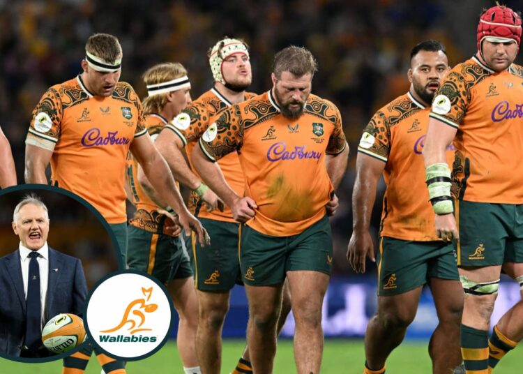 Wallabies: Rugby Australia debe "enfrentar la música" por la transición de Joe Schmidt